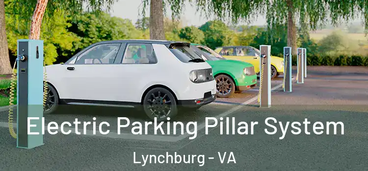  Electric Parking Pillar System Lynchburg - VA