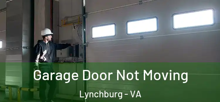  Garage Door Not Moving Lynchburg - VA