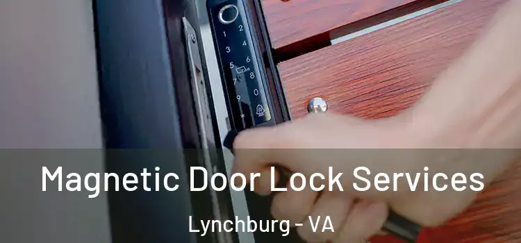  Magnetic Door Lock Services Lynchburg - VA